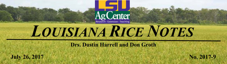 2017 Louisiana Rice Field Notes #9